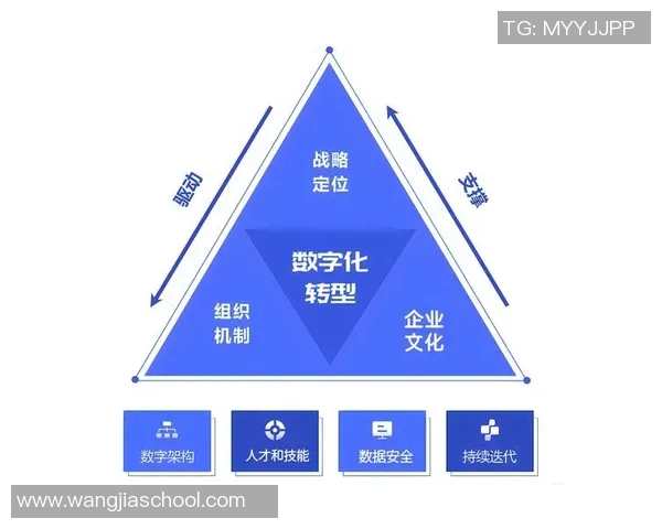 重庆滑板队转型之路:得失与挑战的深度剖析