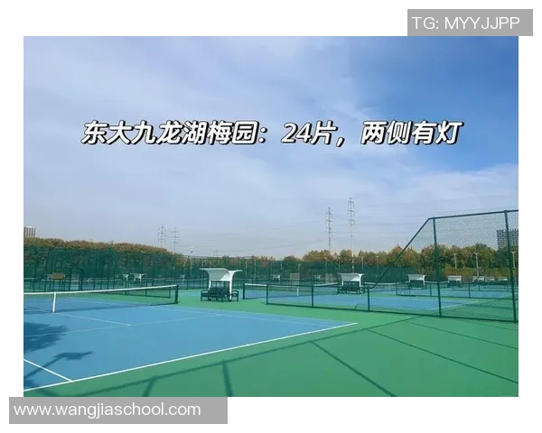 南京网球队荣登全国网球技术排行榜第三名展现实力与潜力